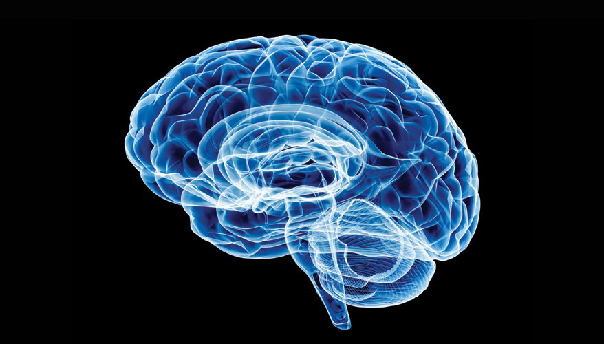 Weaponizing The Brain Neuroscience Advancements Spark Debate Weaponizing The Brain Neuroscience Advancements Spark Debate