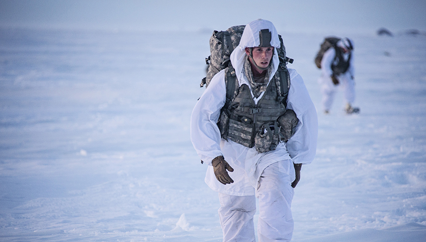 Soldier in the Arctic