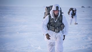 Soldier in the Arctic